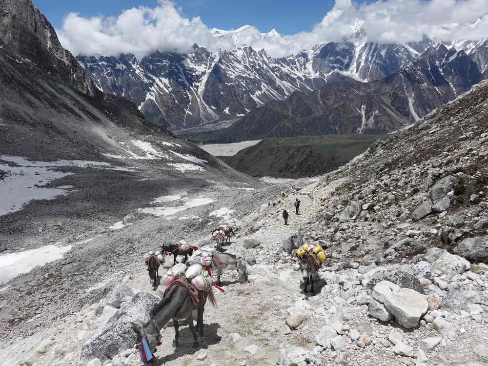 The Manaslu Circuit Trek
